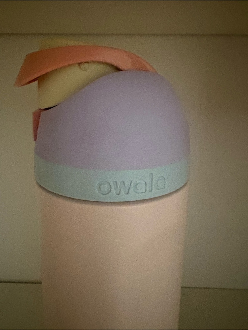 Owala Pastel Pink & Lavender Sandy Shores Insulated Water Bottle